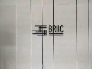 3D Lettering_BRIIC